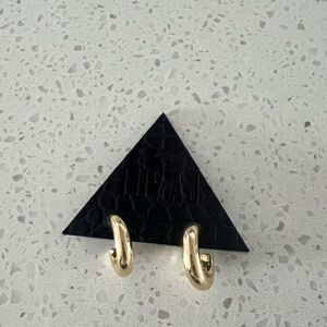 Gold Colored Hoop Luv AJ Earrings